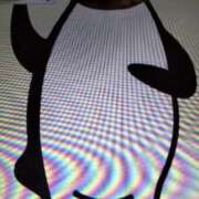 ヒメ日記 2025/11/26 09:48 投稿 阿部 ぼた薔薇Ⅱ