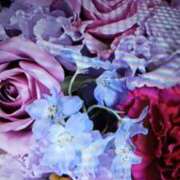 ヒメ日記 2025/11/30 11:32 投稿 阿部 ぼた薔薇Ⅱ