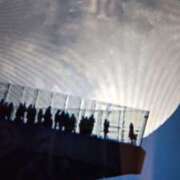 ヒメ日記 2025/12/05 09:52 投稿 阿部 ぼた薔薇Ⅱ