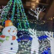 ヒメ日記 2025/12/10 14:04 投稿 阿部 ぼた薔薇Ⅱ