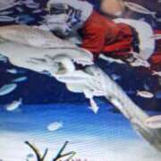 ヒメ日記 2025/12/12 10:10 投稿 阿部 ぼた薔薇Ⅱ