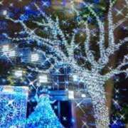 ヒメ日記 2025/12/21 09:36 投稿 阿部 ぼた薔薇Ⅱ