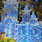 ヒメ日記 2025/12/24 09:56 投稿 阿部 ぼた薔薇Ⅱ