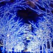 ヒメ日記 2025/12/26 11:58 投稿 阿部 ぼた薔薇Ⅱ