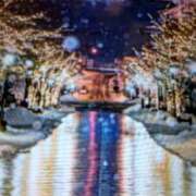 ヒメ日記 2025/12/28 16:52 投稿 阿部 ぼた薔薇Ⅱ