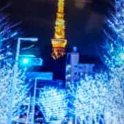 ヒメ日記 2025/12/30 09:34 投稿 阿部 ぼた薔薇Ⅱ