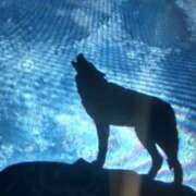 ヒメ日記 2026/01/05 13:04 投稿 阿部 ぼた薔薇Ⅱ