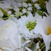 ヒメ日記 2026/01/07 10:08 投稿 阿部 ぼた薔薇Ⅱ