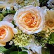 ヒメ日記 2026/01/09 11:04 投稿 阿部 ぼた薔薇Ⅱ