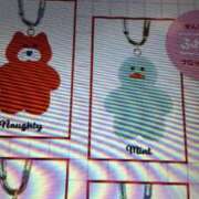 ヒメ日記 2026/01/16 10:06 投稿 阿部 ぼた薔薇Ⅱ