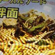 ヒメ日記 2026/01/18 10:40 投稿 阿部 ぼた薔薇Ⅱ