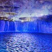 ヒメ日記 2026/01/21 09:54 投稿 阿部 ぼた薔薇Ⅱ