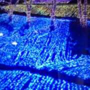 ヒメ日記 2026/01/28 19:12 投稿 阿部 ぼた薔薇Ⅱ