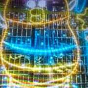 ヒメ日記 2026/01/30 09:52 投稿 阿部 ぼた薔薇Ⅱ