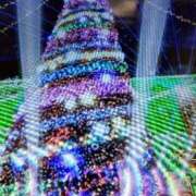 ヒメ日記 2026/02/04 10:10 投稿 阿部 ぼた薔薇Ⅱ