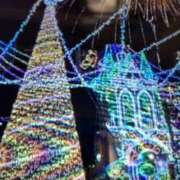 ヒメ日記 2026/02/08 10:26 投稿 阿部 ぼた薔薇Ⅱ