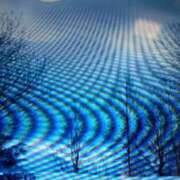 ヒメ日記 2026/02/11 10:10 投稿 阿部 ぼた薔薇Ⅱ