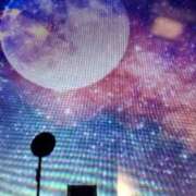 ヒメ日記 2026/04/03 10:26 投稿 阿部 ぼた薔薇Ⅱ