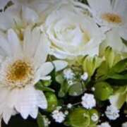 ヒメ日記 2026/04/22 16:54 投稿 阿部 ぼた薔薇Ⅱ