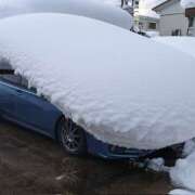 戸川 何とも変わった積もり方？ ぼた薔薇Ⅱ