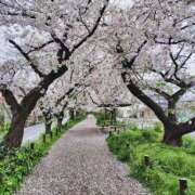 ヒメ日記 2025/04/12 09:15 投稿 秋奈-Akina- Aroma Bloom（アロマブルーム）