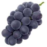 ヒメ日記 2025/09/18 10:15 投稿 秋奈-Akina- Aroma Bloom（アロマブルーム）