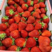 ヒメ日記 2026/02/24 10:15 投稿 秋奈-Akina- Aroma Bloom（アロマブルーム）