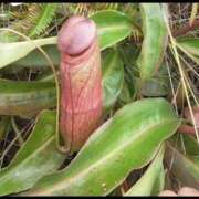 ヒメ日記 2025/02/05 09:33 投稿 仲間 モアグループ西川口人妻城