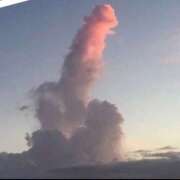 ヒメ日記 2025/02/07 12:12 投稿 仲間 モアグループ西川口人妻城