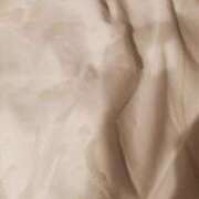 ヒメ日記 2025/02/10 10:41 投稿 仲間 モアグループ西川口人妻城