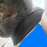 ヒメ日記 2025/02/18 09:01 投稿 仲間 モアグループ西川口人妻城