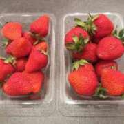 ヒメ日記 2025/05/25 23:27 投稿 ゆり サクラ（すすきの）