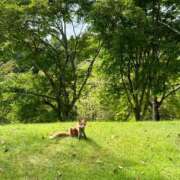 ヒメ日記 2025/09/19 12:30 投稿 ゆり サクラ（すすきの）