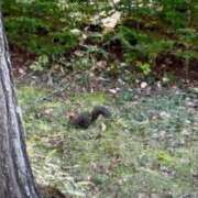 ヒメ日記 2025/10/15 02:15 投稿 ゆり サクラ（すすきの）