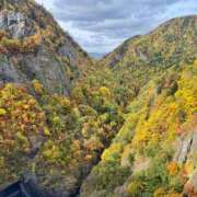 ヒメ日記 2025/10/17 18:12 投稿 ゆり サクラ（すすきの）