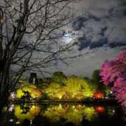 ヒメ日記 2025/11/03 18:19 投稿 ゆり サクラ（すすきの）