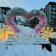 ヒメ日記 2026/01/19 19:03 投稿 ゆり サクラ（すすきの）