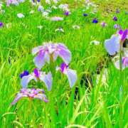 ヒメ日記 2025/09/02 11:17 投稿 宮原つむぎ 大人めシンデレラ 新横浜店（シンデレラグループ）