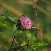 ヒメ日記 2026/01/28 10:18 投稿 宮原つむぎ 大人めシンデレラ 新横浜店（シンデレラグループ）