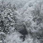 宮原つむぎ 出勤します? 大人めシンデレラ 新横浜店（シンデレラグループ）