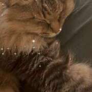 ヒメ日記 2025/06/17 16:32 投稿 愛海(あみ) キュート東京 五反田店