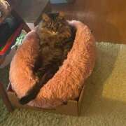 ヒメ日記 2026/04/11 20:02 投稿 愛海(あみ) キュート東京 五反田店