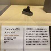 ヒメ日記 2025/03/09 18:06 投稿 Maiko Kinouchi ELEGANT－エレガント－