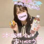 ヒメ日記 2023/10/17 03:15 投稿 心愛【ここあ】 CoCoaco(ココアコ)大阪本店