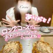 ヒメ日記 2024/09/01 15:54 投稿 心愛【ここあ】 CoCoaco(ココアコ)大阪本店