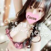 ヒメ日記 2024/09/04 21:03 投稿 心愛【ここあ】 CoCoaco(ココアコ)大阪本店