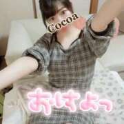 ヒメ日記 2024/12/20 07:00 投稿 心愛【ここあ】 CoCoaco(ココアコ)大阪本店