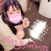 ヒメ日記 2024/12/28 22:53 投稿 心愛【ここあ】 CoCoaco(ココアコ)大阪本店