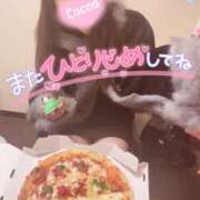 ヒメ日記 2024/12/29 22:20 投稿 心愛【ここあ】 CoCoaco(ココアコ)大阪本店