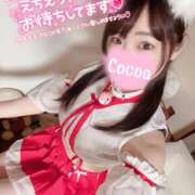 ヒメ日記 2025/01/03 07:33 投稿 心愛【ここあ】 CoCoaco(ココアコ)大阪本店